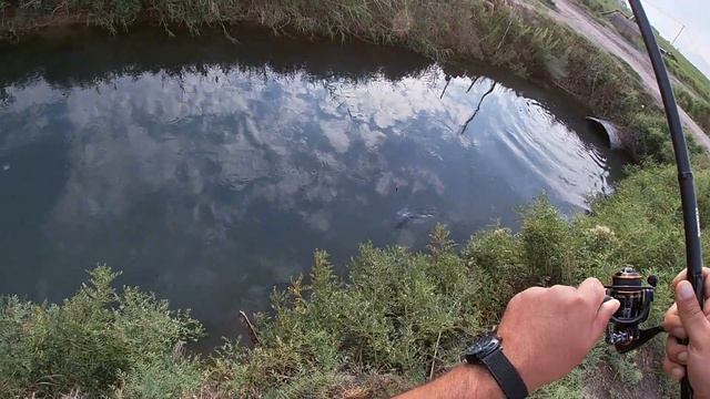 Իշխանի ձկնորսություն լողանով։Ловля форели на поплавок. смотреть онлайн