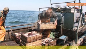 Волгоградская область. Агропромышленный комплекс: стратегия развития. 2015