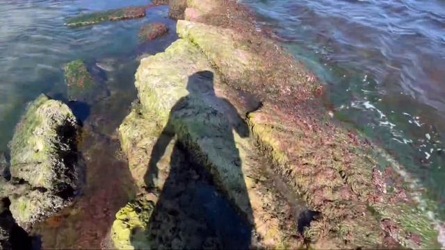 Дагестан#Отдых#Манас#Рыбалка👍🏻 смотреть онлайн