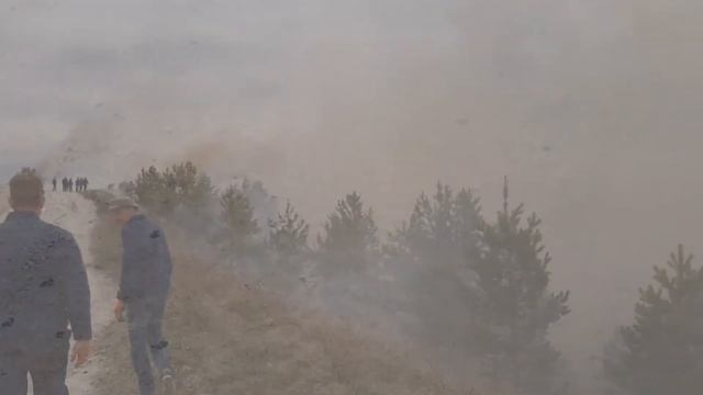 Пожар в лесу,Хвалынский национальный парк,Подлесное,старая Яблонка,лесные пожары,тушение пожаров смотреть онлайн