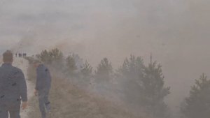 Пожар в лесу,Хвалынский национальный парк,Подлесное,старая Яблонка,лесные пожары,тушение пожаров