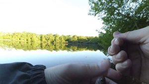 Рыбалка на боковой кивок. Май 2024.