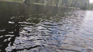 Рыбалка на реке Ниве Карелия