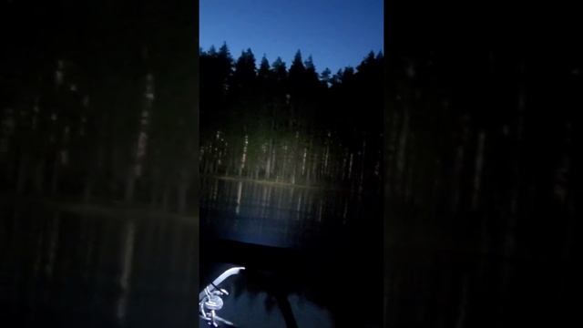 Вечерние покатушки