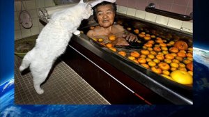 КАРАОКЕ Трава у дома