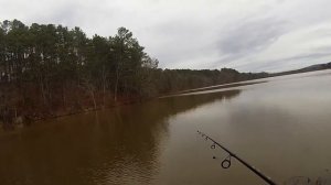 Bomber Fat Free Shad Review