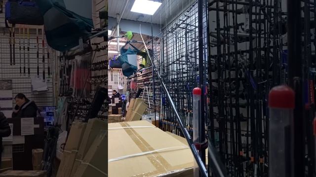 Обзор фидера Kaida Darmeli #kaida #рыбалка #feeder смотреть онлайн