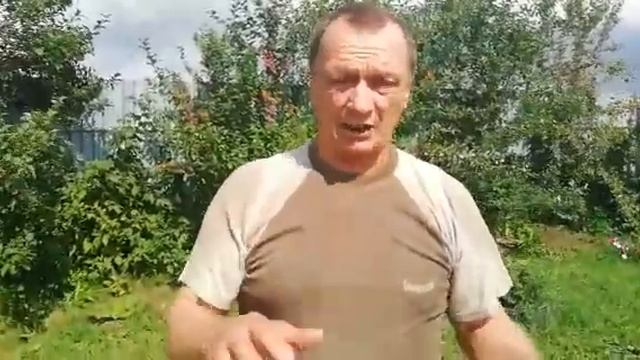 Плодные матки Ф - 1 , нашли нового хозяина . смотреть онлайн