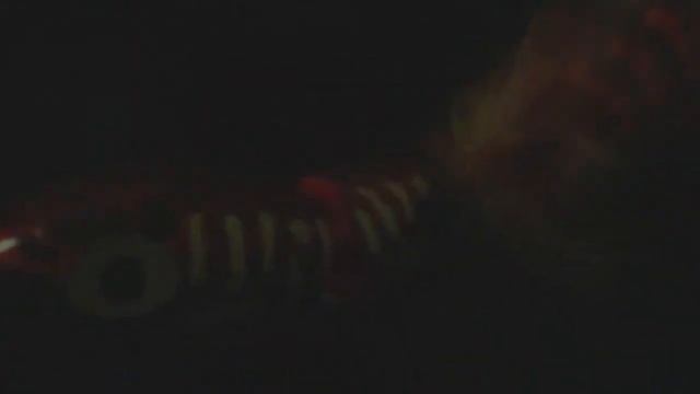 *NEW* Arbogast Jointed Jitterbug 2.0 Teaser