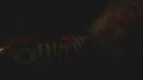 *NEW* Arbogast Jointed Jitterbug 2.0 Teaser