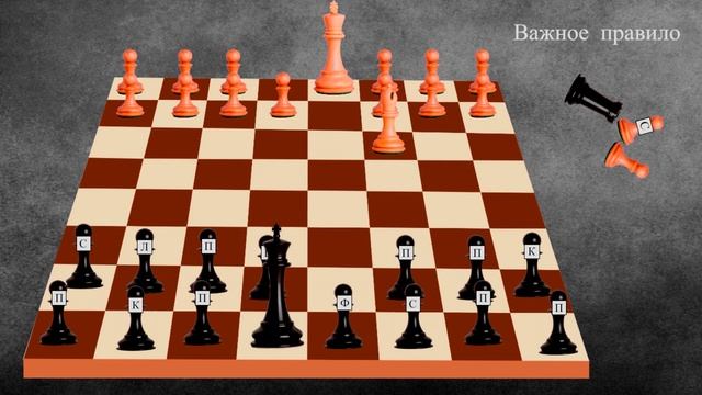 Шахматы Суркова. Слепые шахматы. Правила