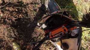 Гонка Бердск Лесоруб