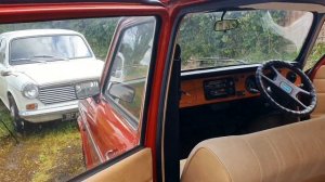 For Sale Austin Maxi classic car