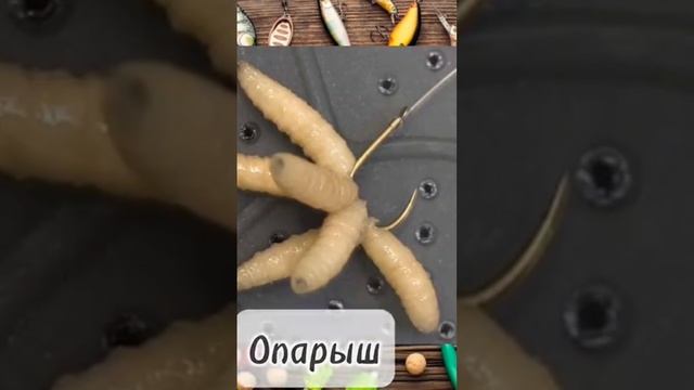 на что ловить рыбу Часть 1 #рыбалка #подпишись