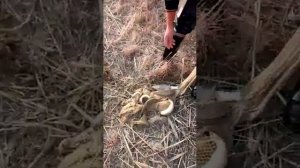 в Кыргызстане рыбалка на Маринка💓💞💕💔