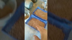 Изготовление пеллеты для своего котла