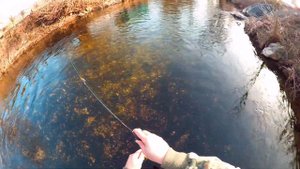 SHIMANO Stradic Ci4+ 1000 Daiwa PRESSO UL Custom Brown Trout Fishing Forellen Angel