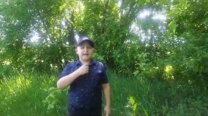 Р.Рождественский "Моя бабушка" читает Тарлавин Денис #ПервыеЧитаютРождественского