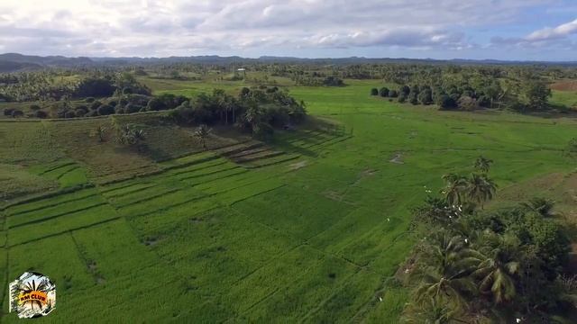 Ace of Base-All for you♫(Remix)🔥🎧🔥 смотреть онлайн