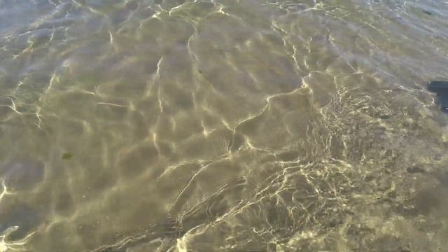 Будни станичников. Финиш заготовок. Море смотреть онлайн