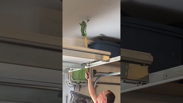 How to get a hummingbird out of the garage!! How many times did it take?? смотреть онлайн