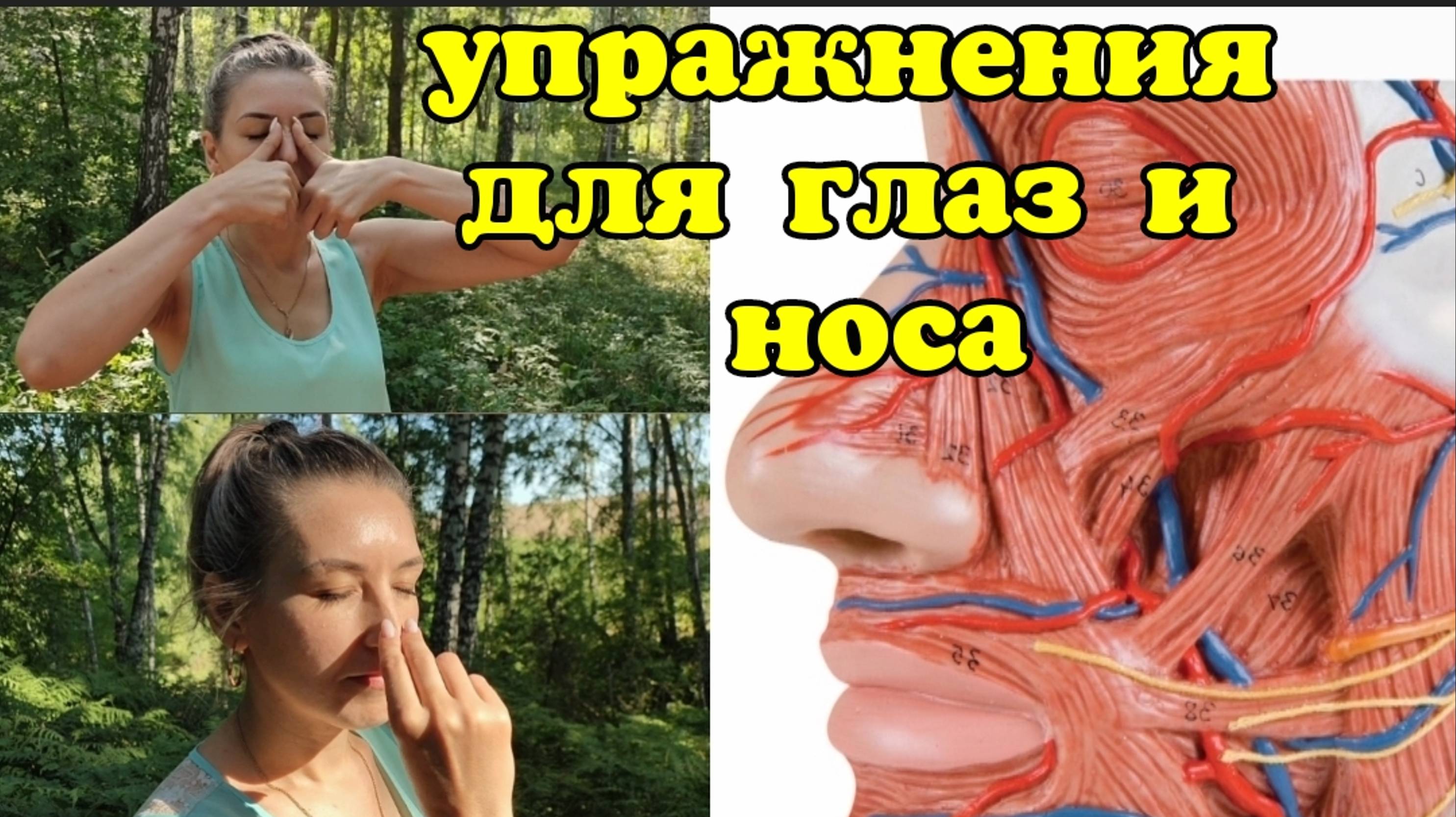Почему жизнь глаз и мозга зависит от носа? Как наладить венозный отток: 2 упражнения
