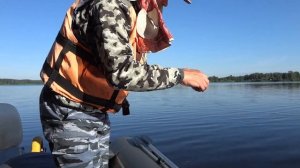 Второй день рыбалки на Вселуге. Троллинг по глубине и по мелководью. Много поклевок вдоль берега.