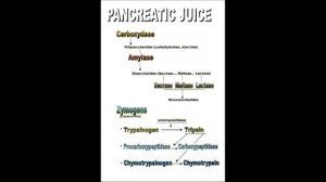 Secretory functions of the alimentary tract