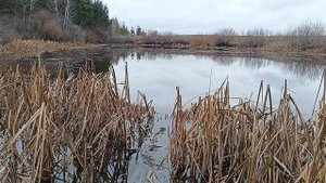 Ловлю Ротана в ноябре на поплавок в деревне.