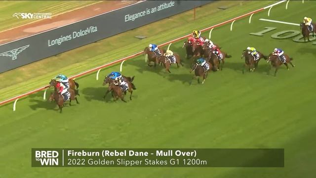 REBEL DANE AT WIDDEN STUD - BRED TO WIN EP 7 2022 смотреть онлайн