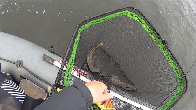 Долгожданный трофей на джеркбейт. смотреть онлайн