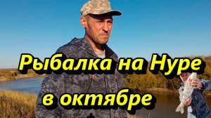 Рыбалка на Нуре в октябре