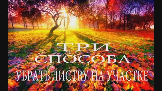 Три способа убрать листву на участке. Из рокария, с газона, лужайки и клумбы.