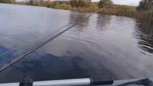 Щука и окунь на воблеры осенью