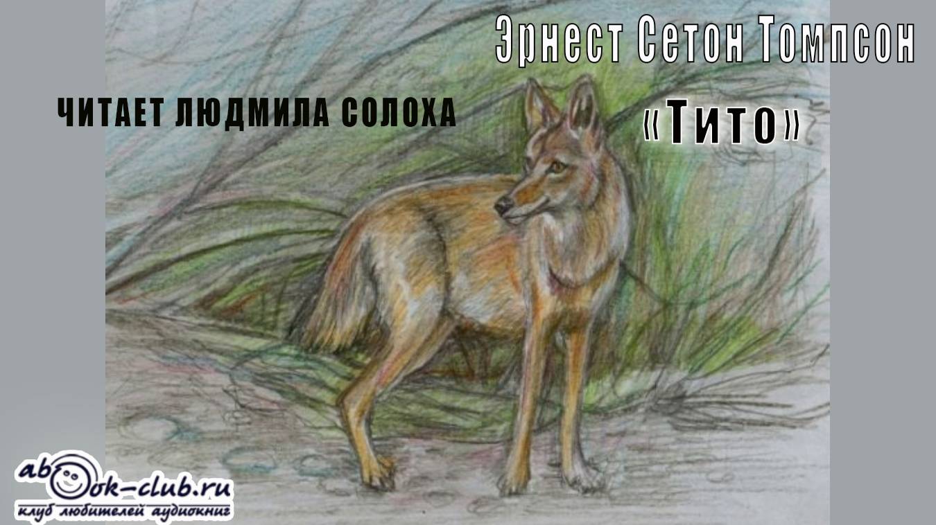 Эрнест Сетон Томпсон "Тито" (рассказ)