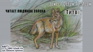 Эрнест Сетон Томпсон "Тито" (рассказ)