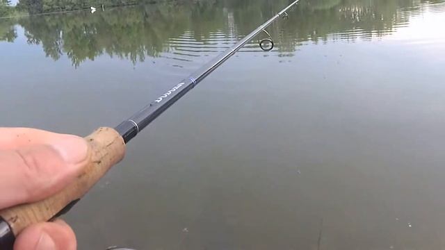 Рыбалка в забродах. В ЖАБОВНИКЕ на ТОПВОТЕРЫ