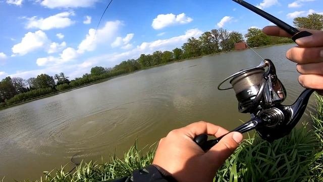 Delphin Opium Black Feeder 330cm/80g - Daiwa TD Feeder 4012QD Hol Karpia