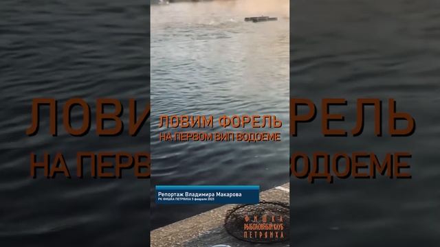 РК ФИШКА ПЕТРИЯИХА! КОРТОКО О СЕГОДНЯШНЕЙ РФЫБАЛКЕ!