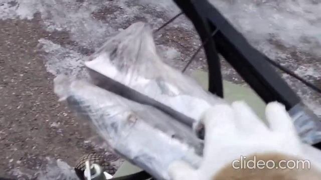 Сборка_и_запуск_в_эксплуатацию