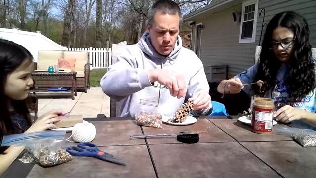 Bird Feeder