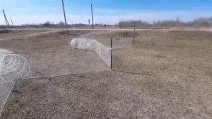 Двухкрылые вятеря