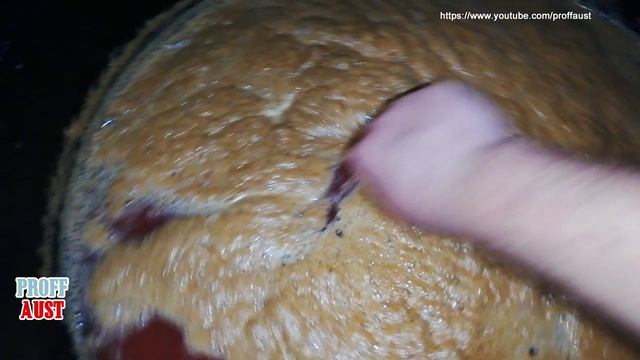 Простой и очень вкусный рецепт приготовления яблочного вина в домашних условиях