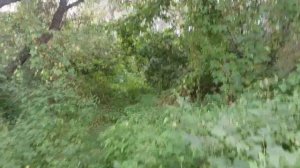 2023г. река Ворона. Разрушенный мост.