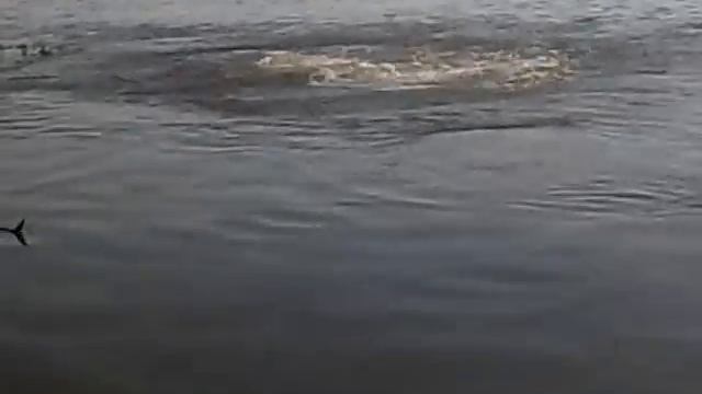 Солдатик мега про!!! смотреть онлайн