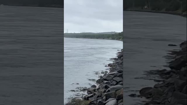 Striped bass cape cod canal fishing