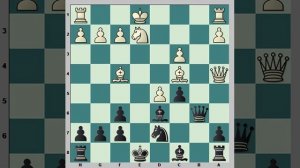 Принятый ферзевый гамбит. Система 3.е4 с5