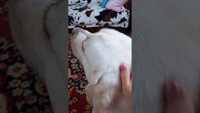 наша бессонная ночь
