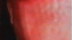 ГABHOOOO!!! (Зелёный слоник, Лютый вин)