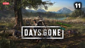 DAYS GONE ▶ ЖИЗНЬ ПОСЛЕ ● Прохождение #11